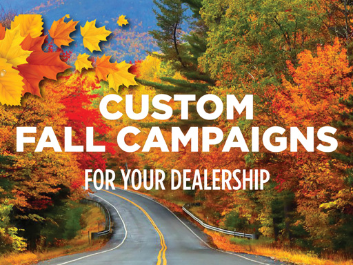 Fall Custom Campaigns